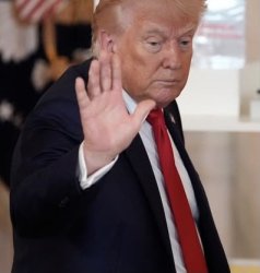 Trump stop Meme Template