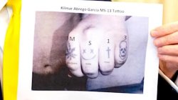 Kilmar Abrego Garcia MS13 photoshop tattoo Meme Template