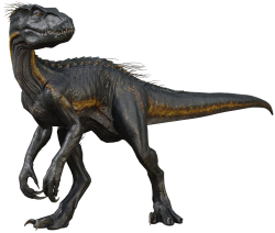 Indoraptor 7 Meme Template