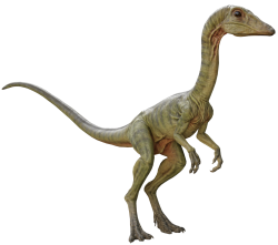 Compsognathus 9 Meme Template