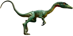 Compsognathus 10 Meme Template