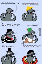 homophobic seal in different languages Meme Template