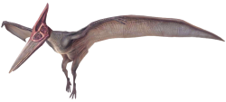 Pteranodon 5 (JW Design) Meme Template