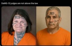 Dems13 judges Meme Template