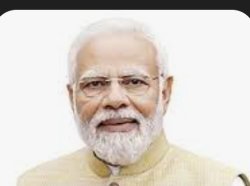 Mudi Meme Template