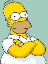 homer icon Meme Template