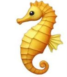 seahorse emoji Meme Template