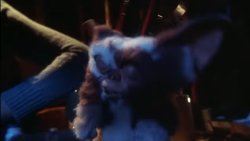 Gizmo Getting Wet Meme Template