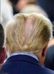Trump bald Meme Template