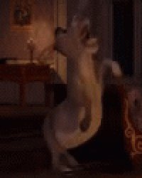 low quality donkey screaming Meme Template