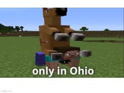 Ohio minecarft Meme Template