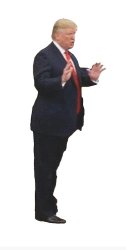 Trump Meme Template