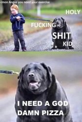 Obese dog Meme Template