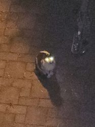 I SEE YOU MORTAL Meme Template