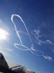 If dicks could fly Meme Template