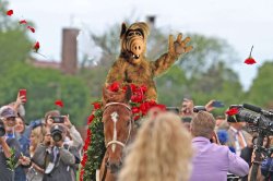Alf On A Horse Meme Template