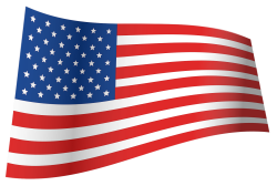 flag Meme Template