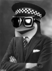 Tuxedo anti anime penguin Meme Template