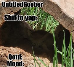 UntitledGoober's MSMG announcement temp Meme Template