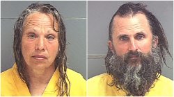 Libtard Poster Felons of the Week Meme Template