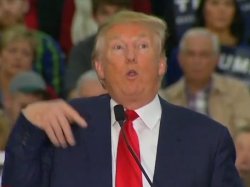 Trump #1 Meme Template