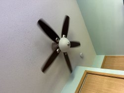 The Fan Meme Template