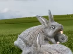 Bunn- oh, nevermind. Meme Template