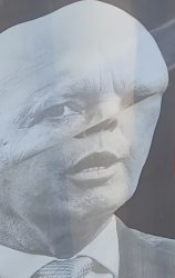 Derpy Dutton Meme Template