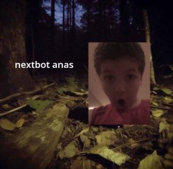 Nextbots anas Meme Template