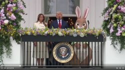 trump bunny Meme Template