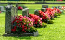 flowers on graves gravestones Meme Template