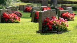 flowers on graves gravestones Meme Template