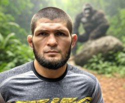 gorilla BJJ Meme Template