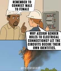 Another DEI Hire Meme Template