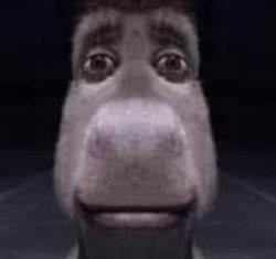 Donkey Stare Meme Template