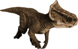 Microceratus 4 (JWD Design) Meme Template