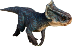 Microceratus 5 (JWD Design) Meme Template
