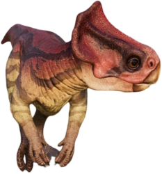 Microceratus 6 (JWD Design) Meme Template