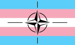 NATO Trannies Meme Template