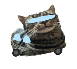 Car Meme Template