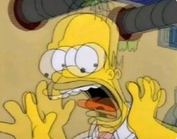 Homer, Panik Meme Template