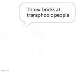 Throw bricks at transphobic people Meme Template