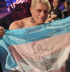 Cody Rhodes Transgender Flag WWE Meme Template