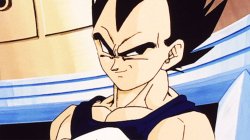 Buu saga Vegeta Meme Template