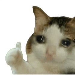 Cat thumbs up Meme Template
