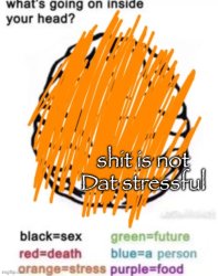 shit is not dat stressful Meme Template