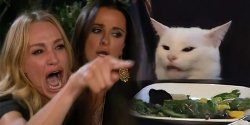 yell cat Meme Template