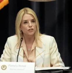 pam biondi Meme Template