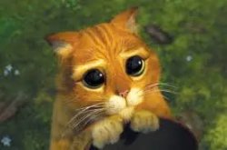 Sad eyes puss n boots Meme Template