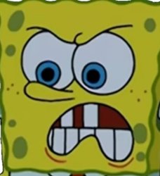 Angry sponge Meme Template